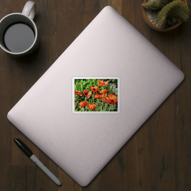 Poppies - Field of Red Poppie by SusanSavad